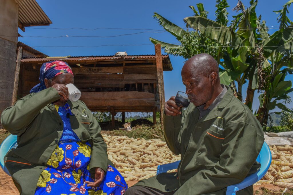 Two Gacharage Tea Factory workers in branded overalls drinking tea, maize drying beside them