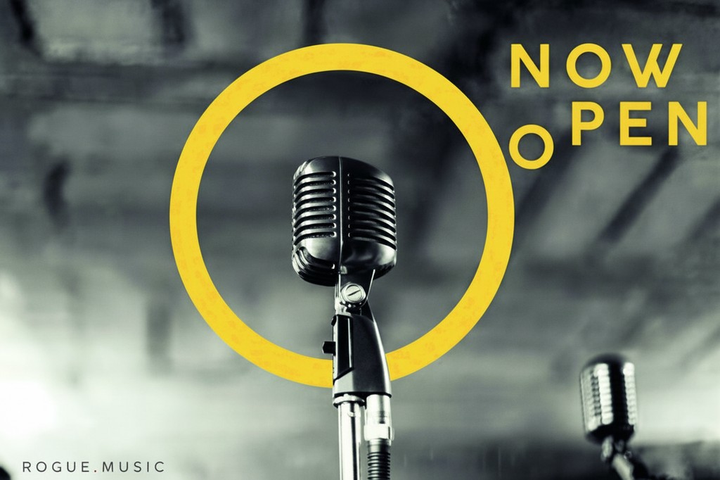 Rogue Records - Brand Development: deliverable 4 of 6